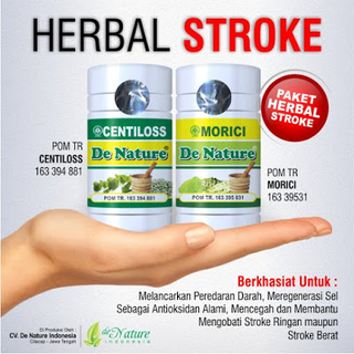 Illustration for article titled Obat Herbal Untuk Stroke Iskemik
